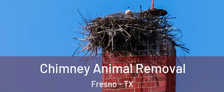  Chimney Animal Removal Fresno - TX