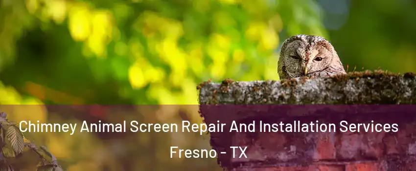  Chimney Animal Screen Repair And Installation Services Fresno - TX
