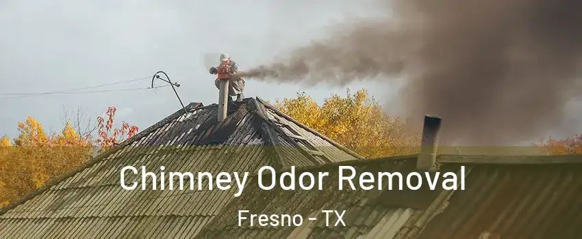  Chimney Odor Removal Fresno - TX