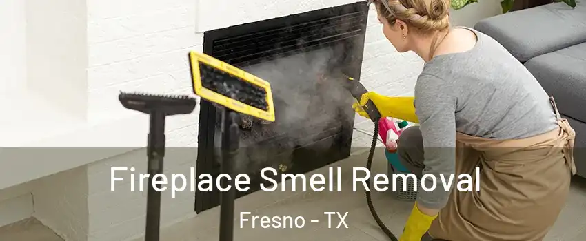  Fireplace Smell Removal Fresno - TX