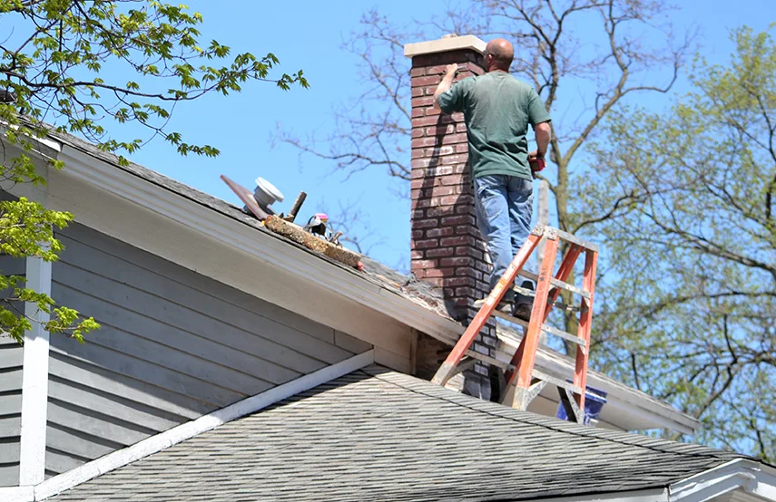 Chimney & Fireplace Inspections Services in Fresno, TX