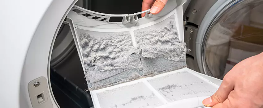 Best Dryer Lint Removal Company in Fresno, Texas