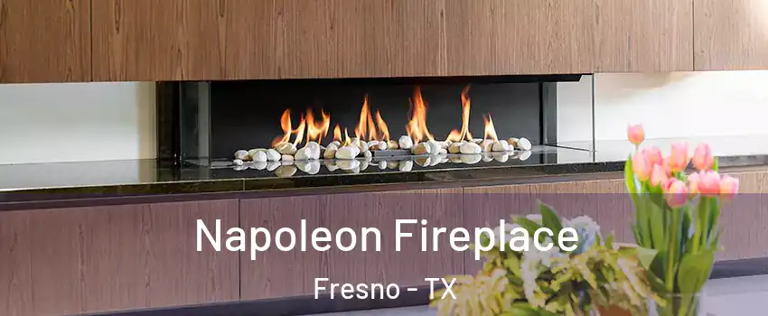  Napoleon Fireplace Fresno - TX